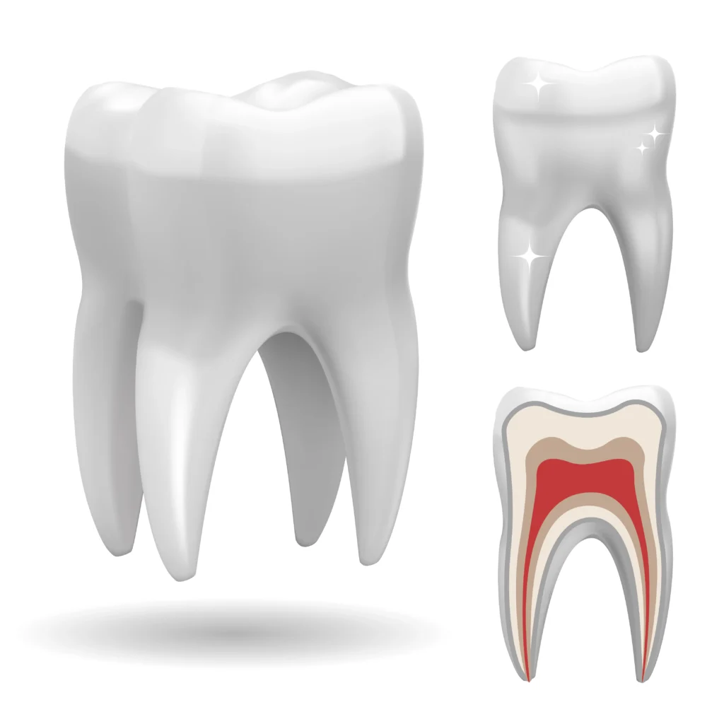 what is the process for dental implants 