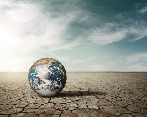 impact of climate change on wildlife