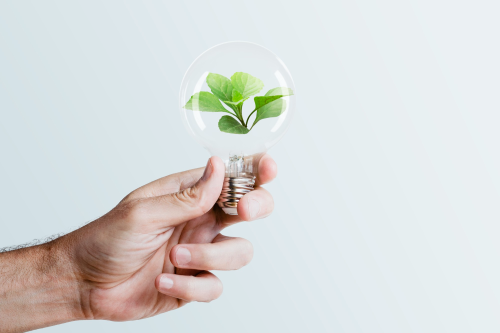 reducing energy consumption at home