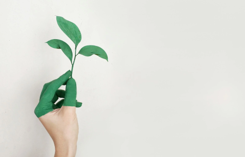 eco-friendly household products